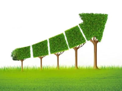 什么是碳邊境調(diào)節(jié)機(jī)制，對(duì)中國(guó)有哪些影響？